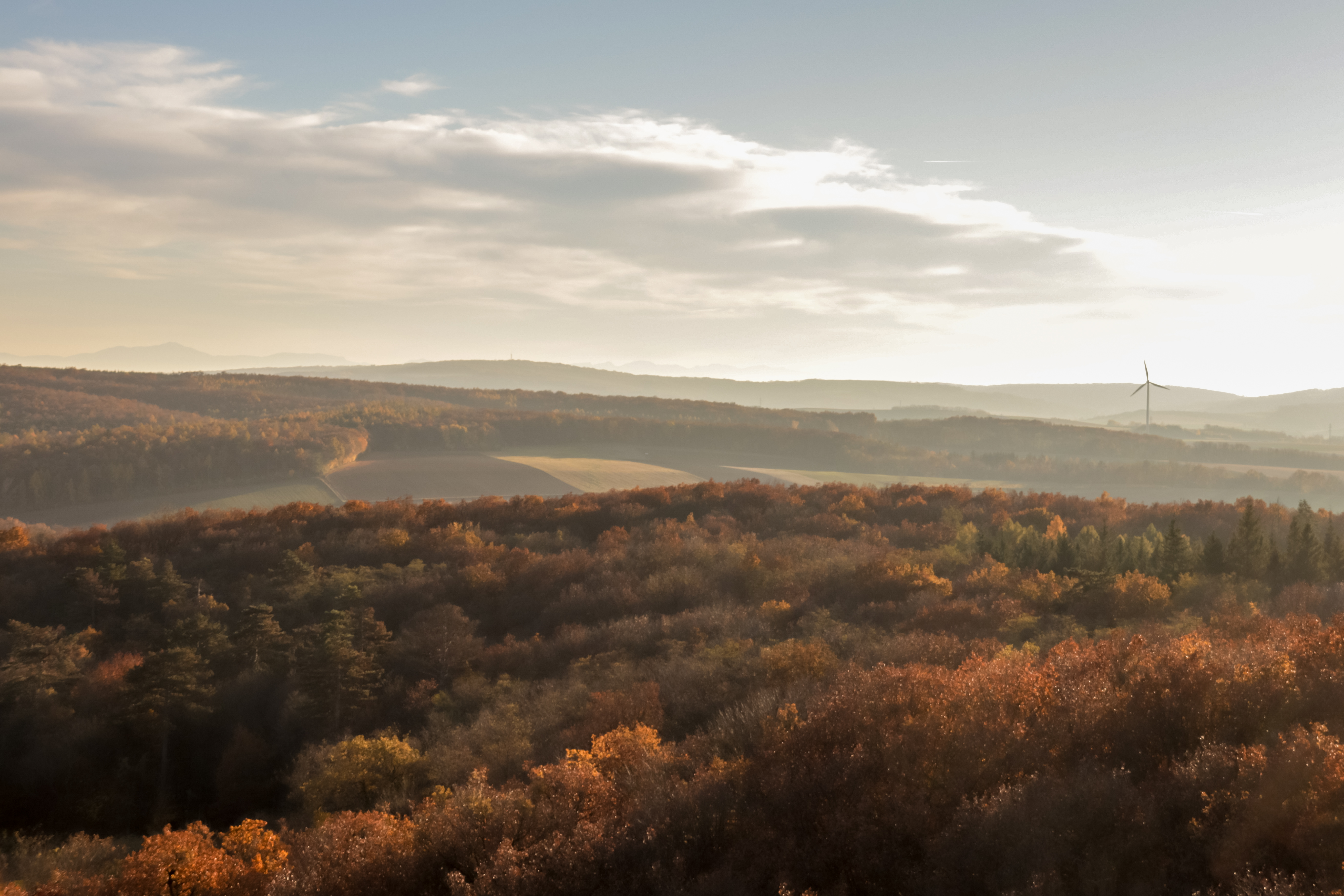 Ausflugsziel: Koliskowarte