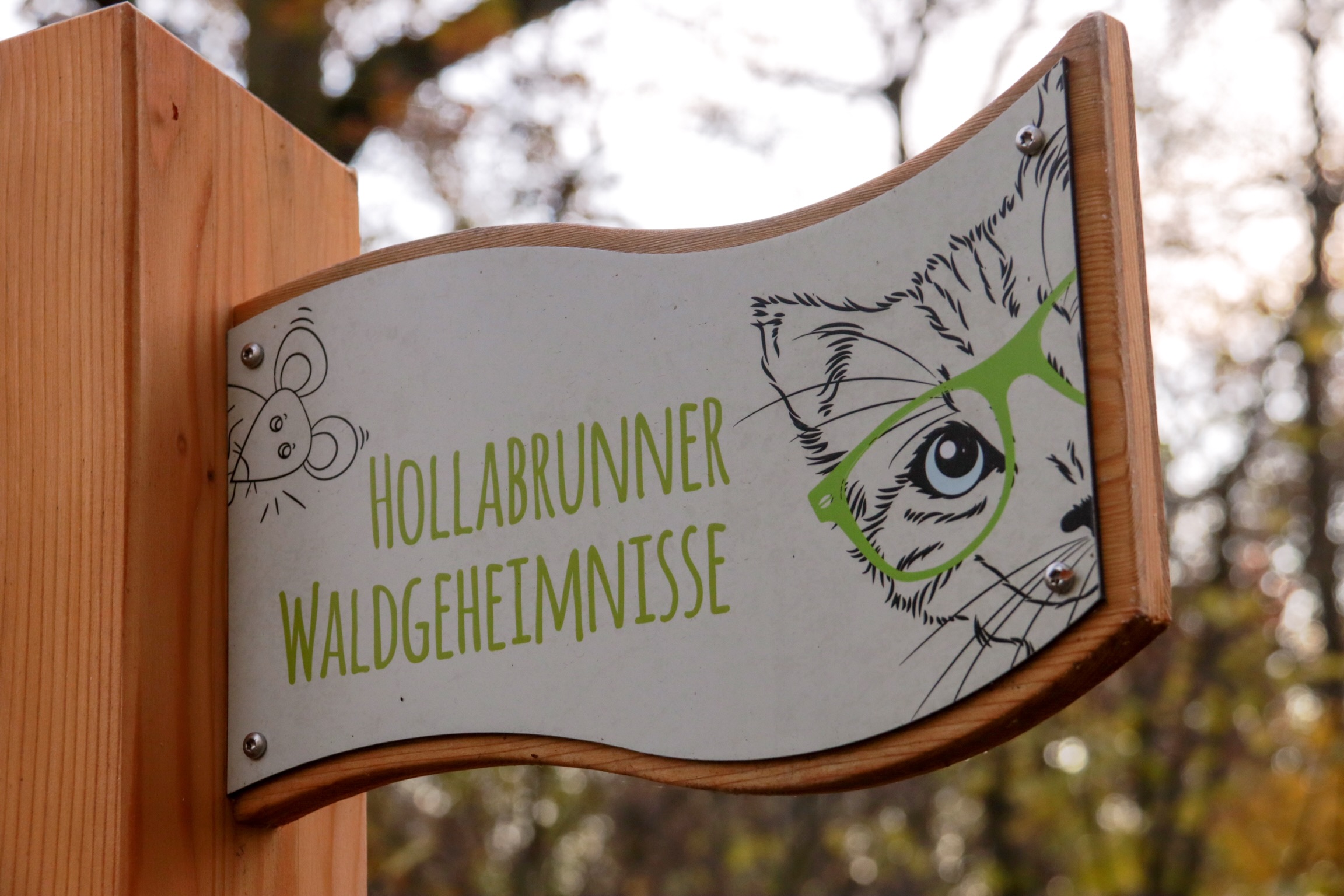 Ausflugsziel: Koliskowarte