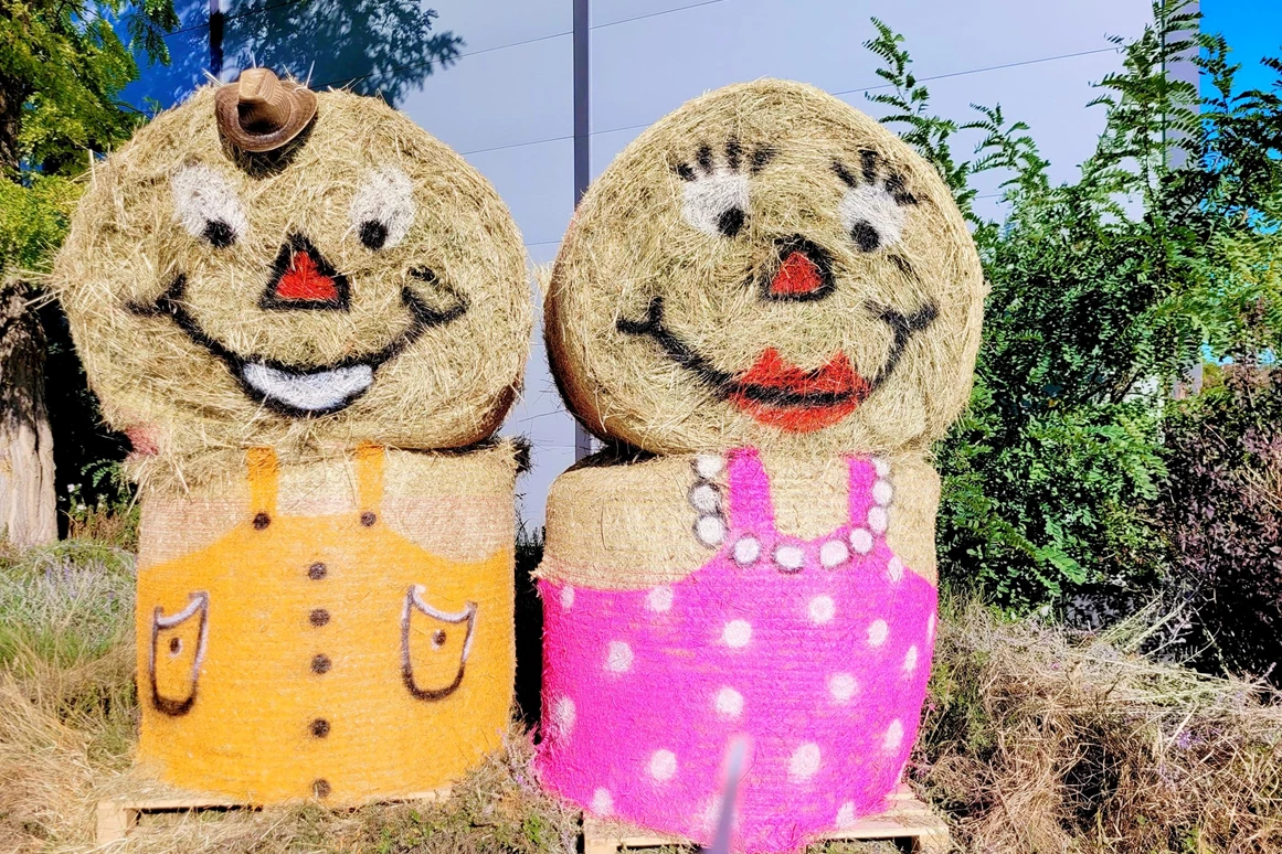 Ausflugsziel: Flipped Funpark