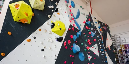 Voyage avec des enfants - Rosengarten (Landkreis Harburg) - urban apes Lüneburg - Boulderhalle