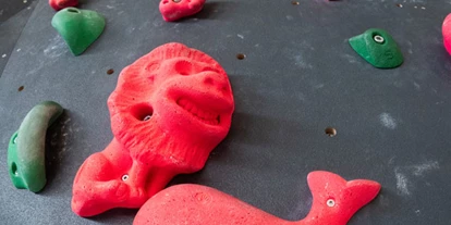 Voyage avec des enfants - Rosengarten (Landkreis Harburg) - urban apes Lüneburg - Boulderhalle