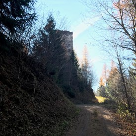 Ausflugsziel: Blick auf den Turm. - Burgruine Offenburg