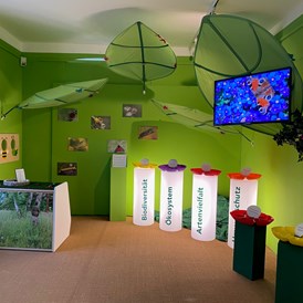 Ausflugsziel: Biodiversität - Museum am Lindenplatz