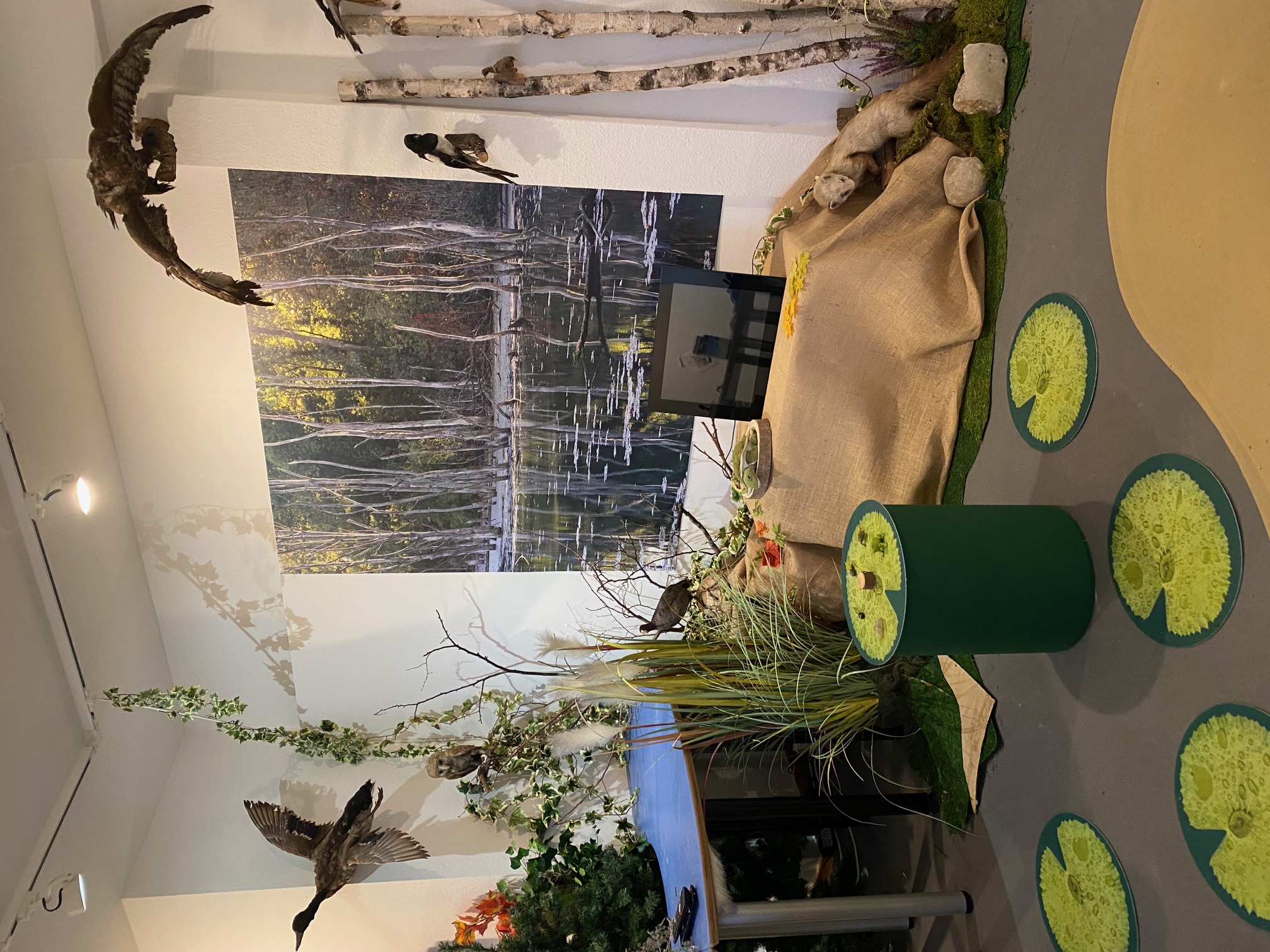 Ausflugsziel: Auenwald - Museum am Lindenplatz