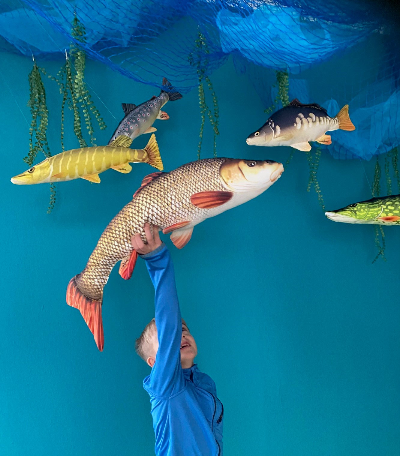 Ausflugsziel: Museum am Lindenplatz