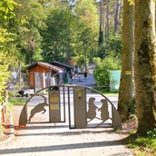 Ausflugsziel - Wildpark Feldkirch