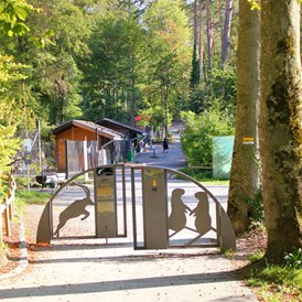 Ausflugsziel: Wildpark Feldkirch