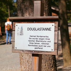 Ausflugsziel: Zahlreiche Schilder bei Bäumen und Sträuchern verraten etwas über die Flora im Wildpark - Wildpark Feldkirch