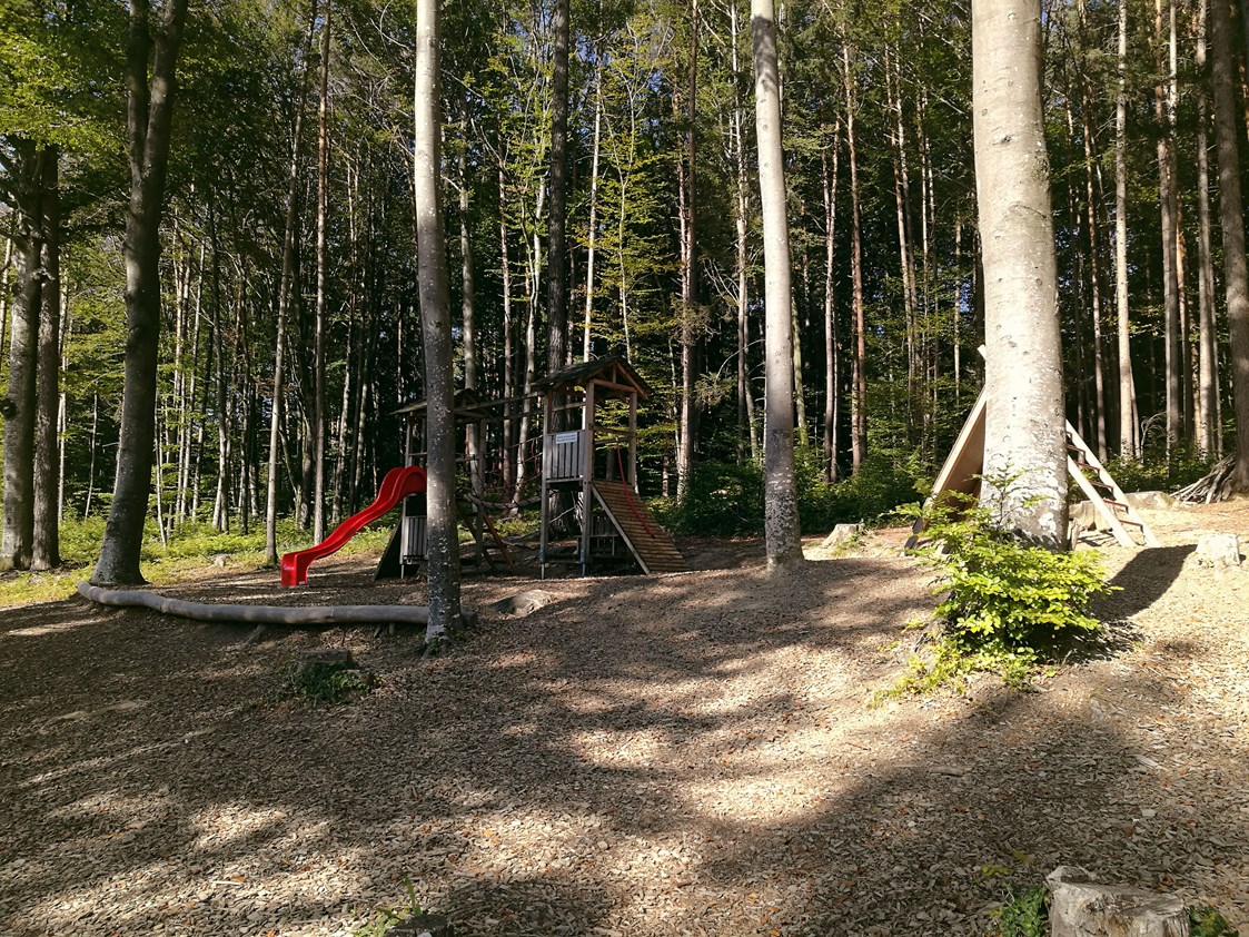 Ausflugsziel: Der Spielplatz bei den Luchsen ist wirklich schön angelegt, verhindert unter Umständen jedoch ein Weiterkommen zu den Wölfen - Wildpark Feldkirch