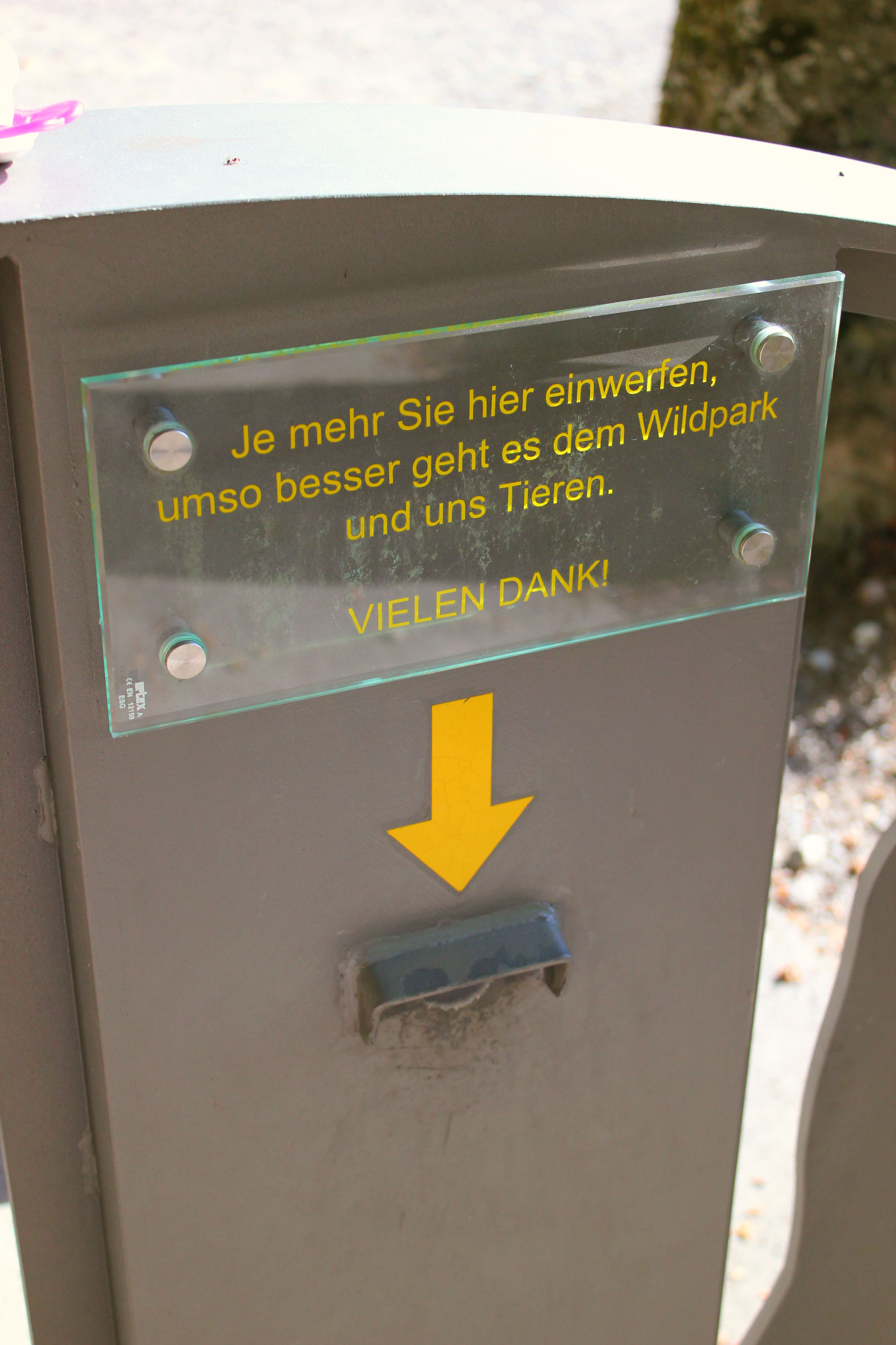 Ausflugsziel: Wildpark Feldkirch