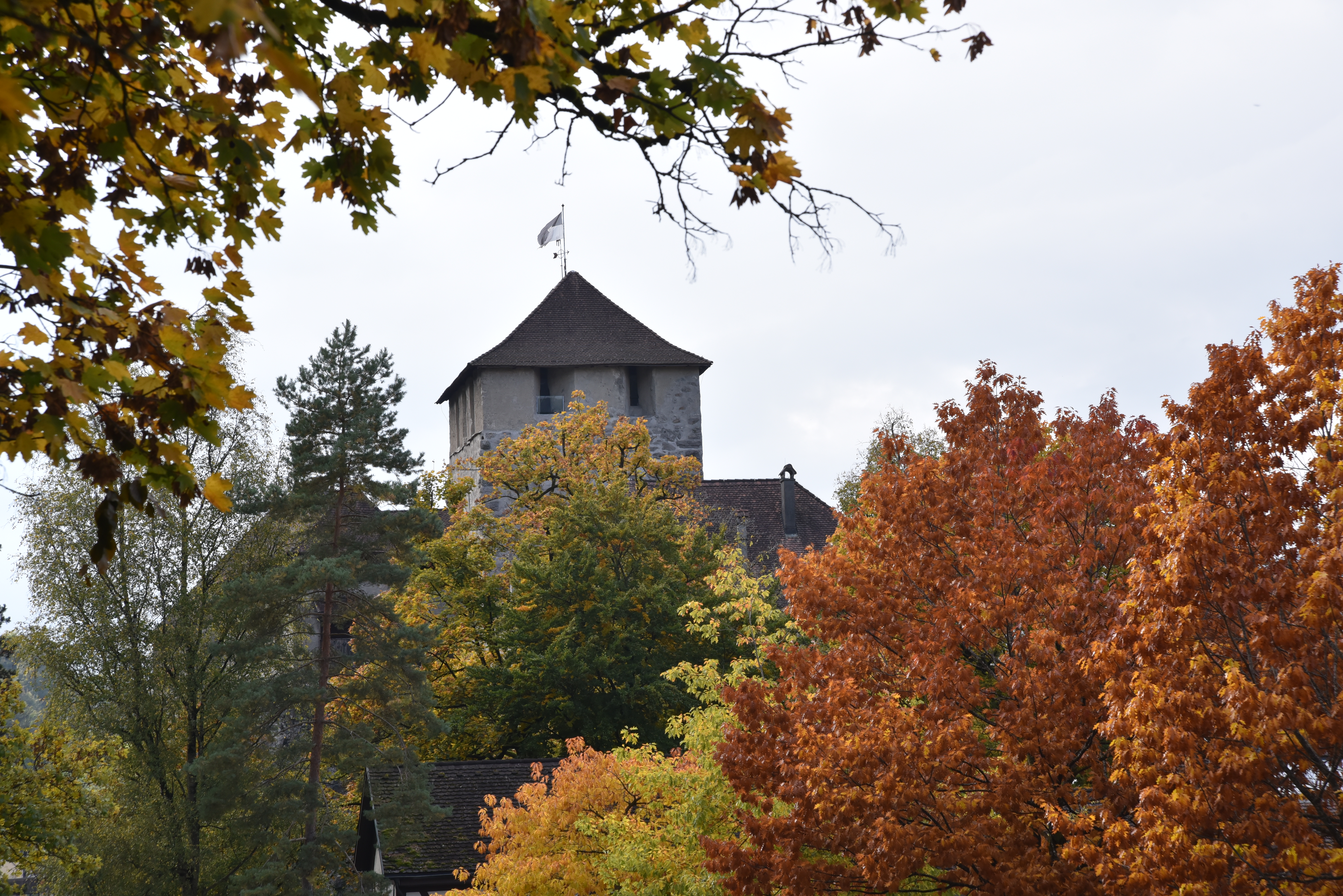 Ausflugsziel: Schattenburg-Museum