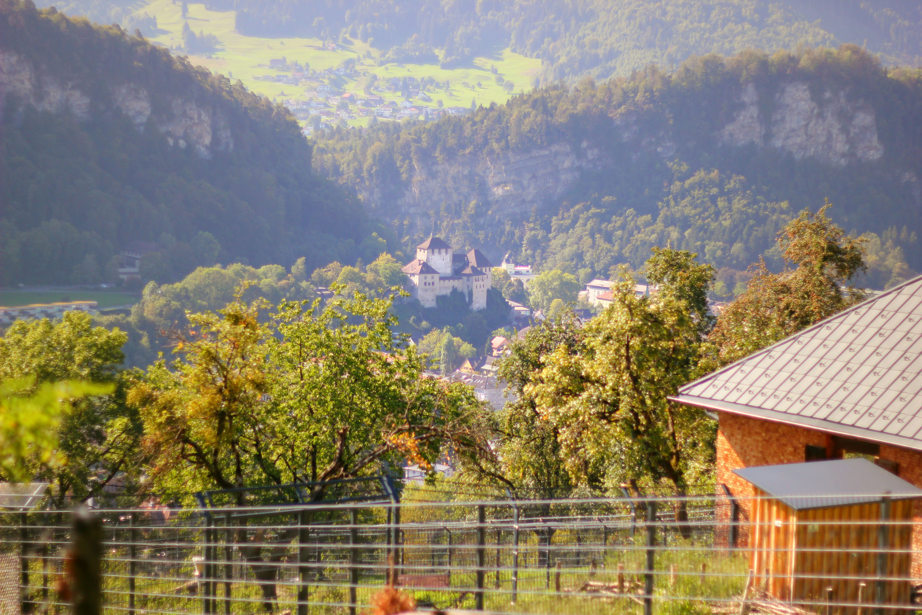 Ausflugsziel: Schattenburg-Museum
