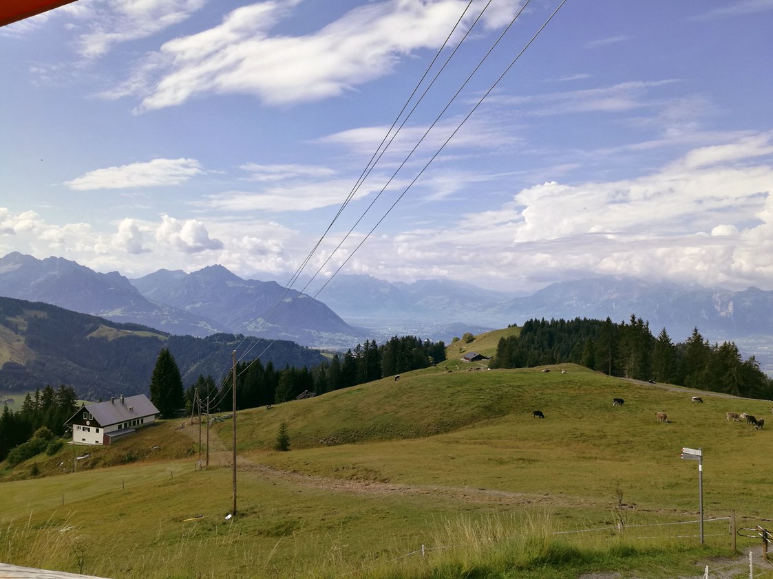 Ausflugsziel: Aussicht vom Alpwegkopfhaus - Wanderung zum Alpwegkopf