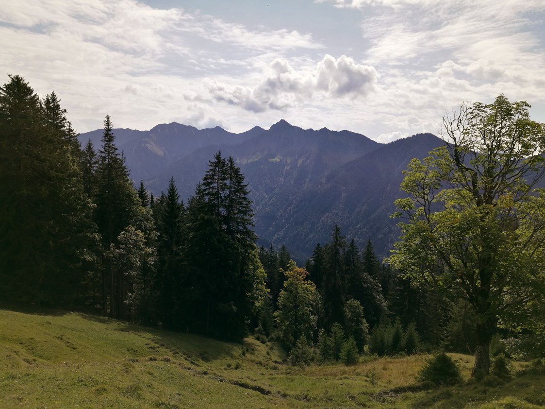 Ausflugsziel: Ausblick auf dem Weg zum Alpwegkopf - Wanderung zum Alpwegkopf