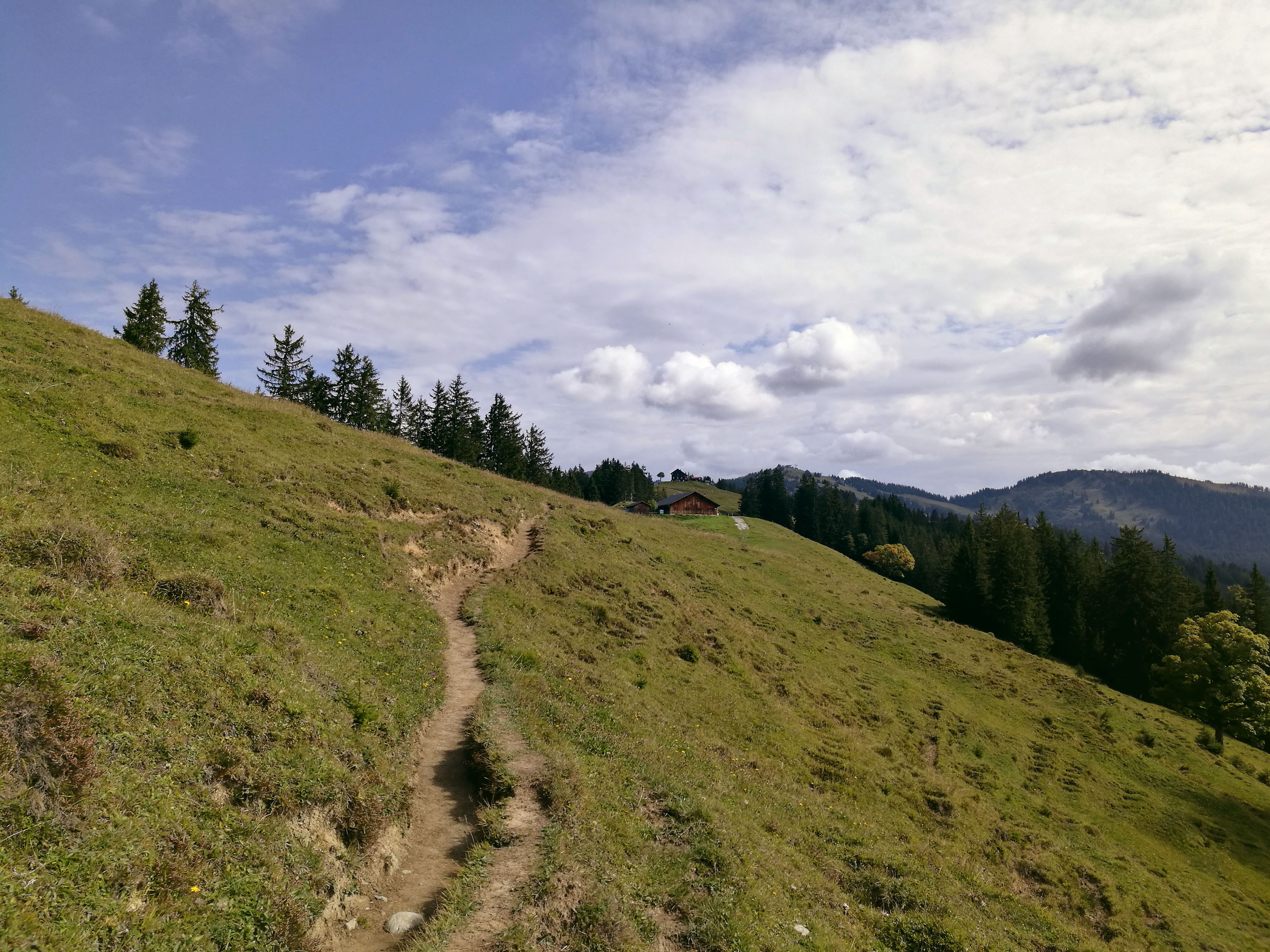 Ausflugsziel: Wanderung zum Alpwegkopf