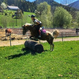 Ausflugsziel: Vielseitigkeit bei den Pferdefreunden Zloam - Narzissendorf Zloam