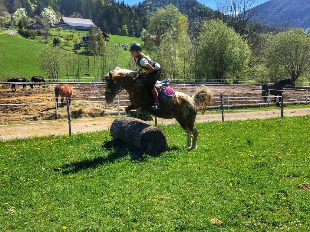 Ausflugsziel: Vielseitigkeit bei den Pferdefreunden Zloam - Narzissendorf Zloam - Grundlsee