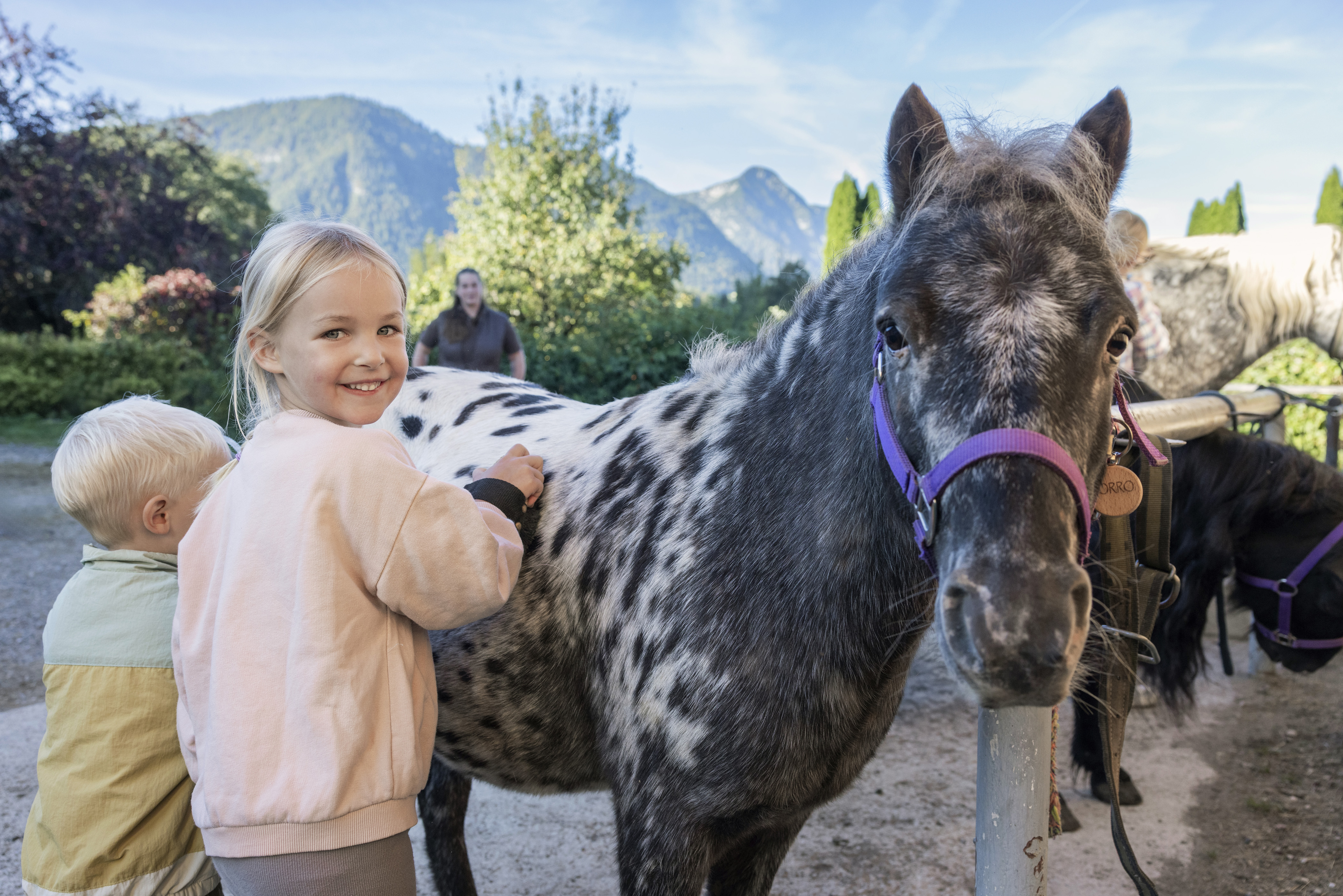 Ausflug mit Kindern - Umgebungsschwerpunkt: Berg - Filzmoos Neuberg - Narzissendorf Zloam - Grundlsee