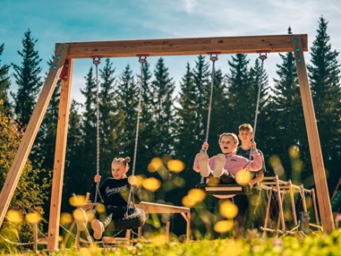 Ausflugsziel: Hirschi-Spielplatz