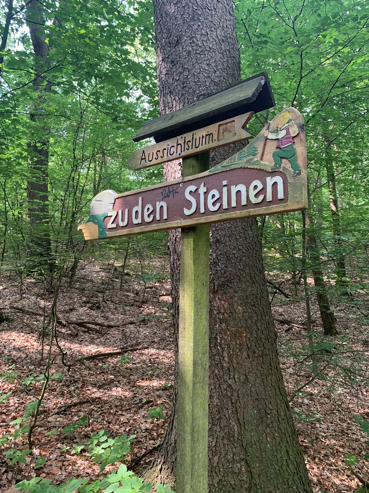 Scharmützelsee Vorteilskarte Wandertipps