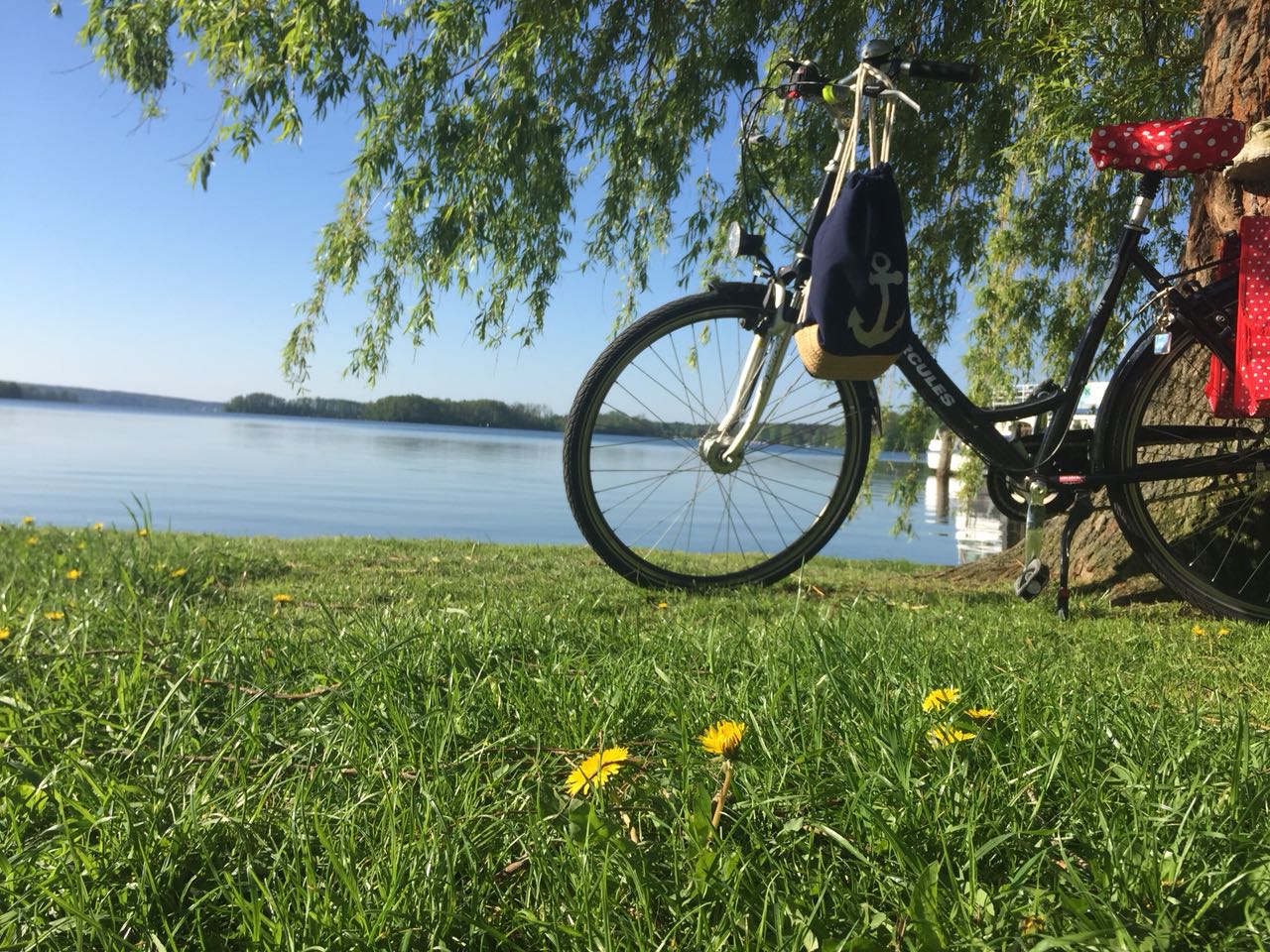 Urlaub: Seeblick Scharmützelsee - Scharmützelsee
