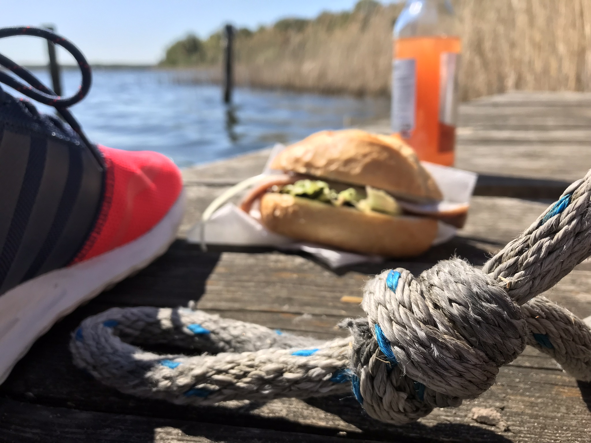 Urlaub: Fischbrötschen in Wendisch Rietz - Scharmützelsee