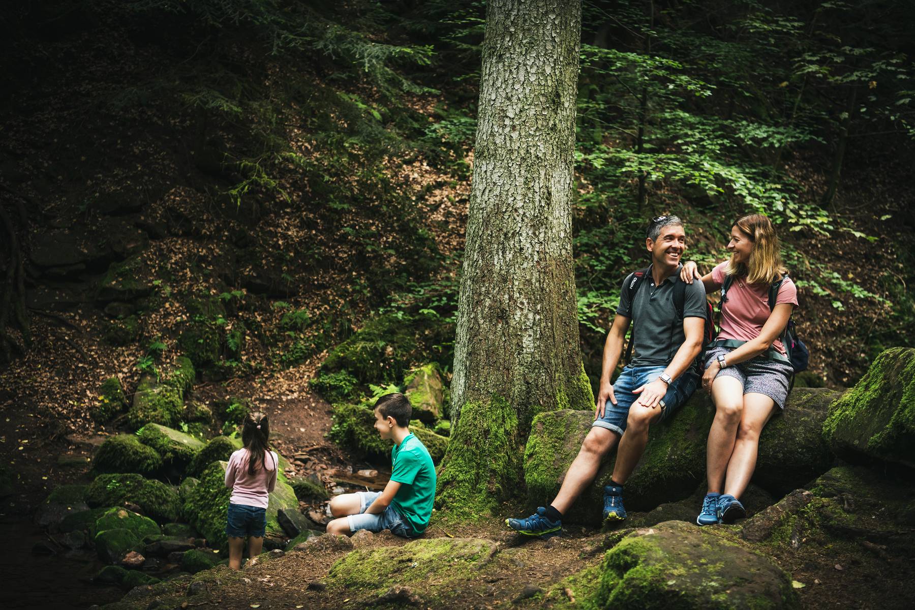 Ausflugsziel: Monbachtal