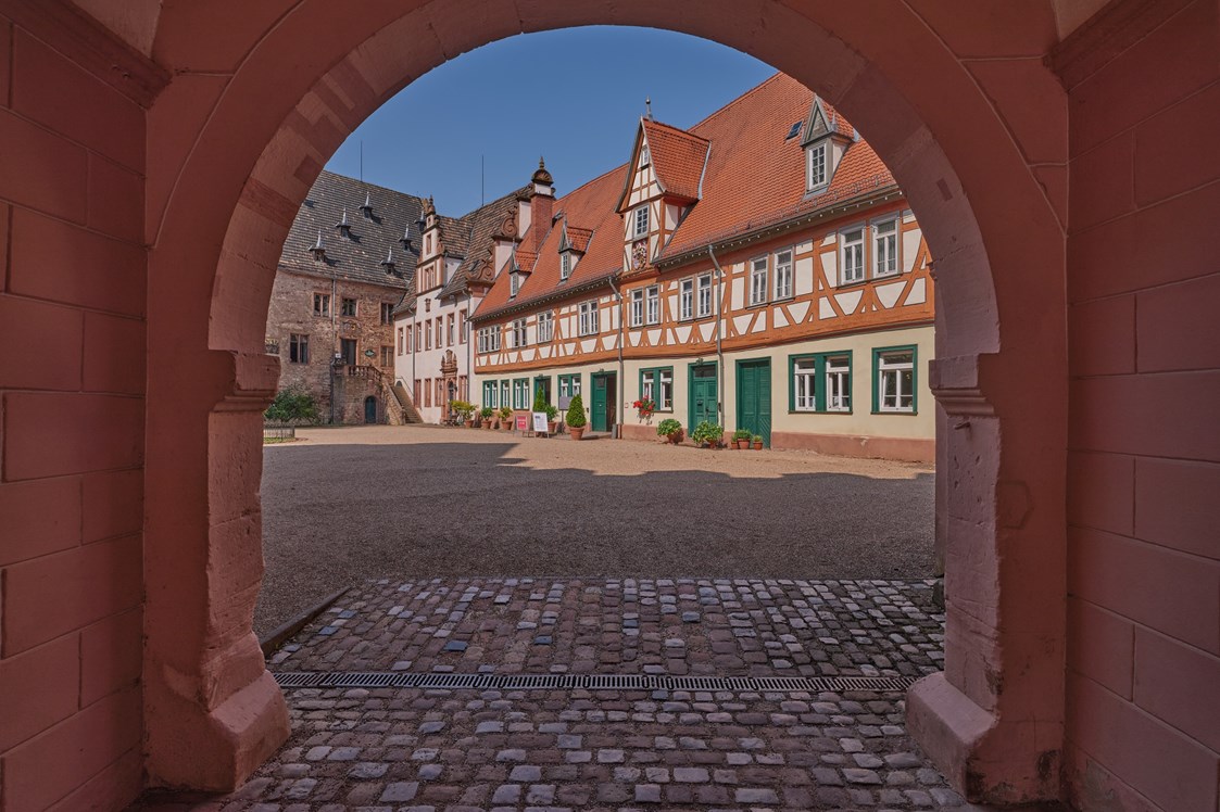Ausflugsziel: Schloss Erbach 