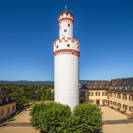Ausflugsziel: Schloss und Schlosspark Bad Homburg 