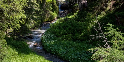 Trip with children - Niedernsill - Rangerwanderung
