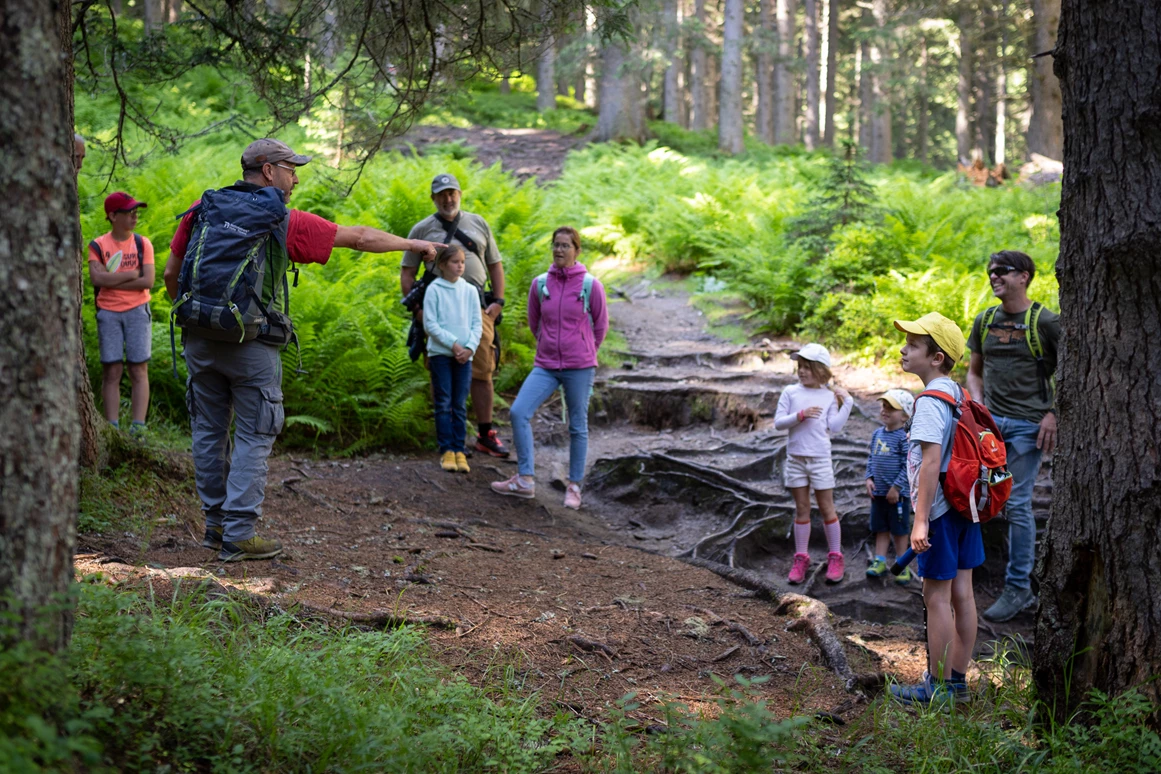 Ausflugsziel: Rangerwanderung