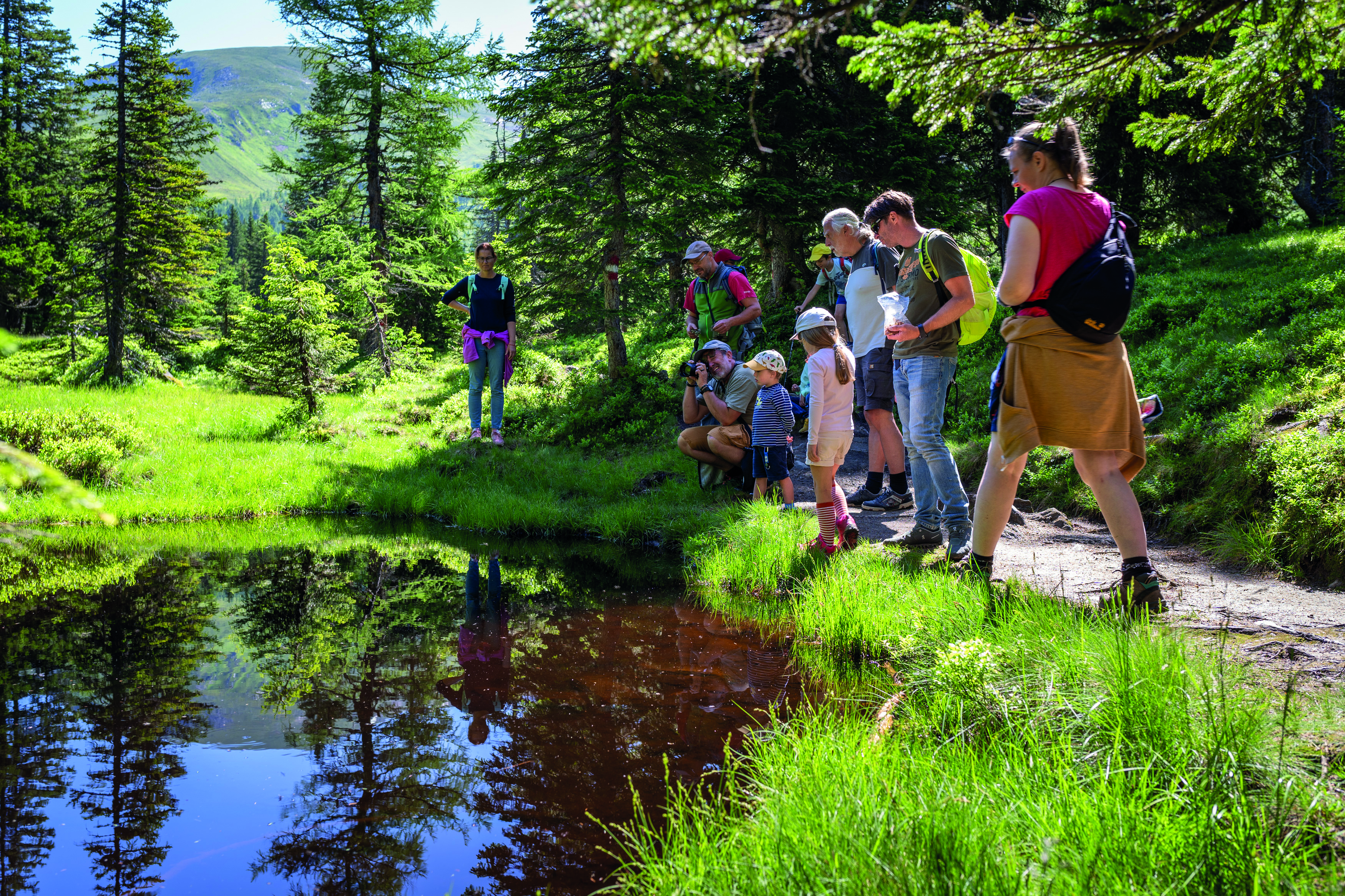 Ausflugsziel: Rangerwanderung
