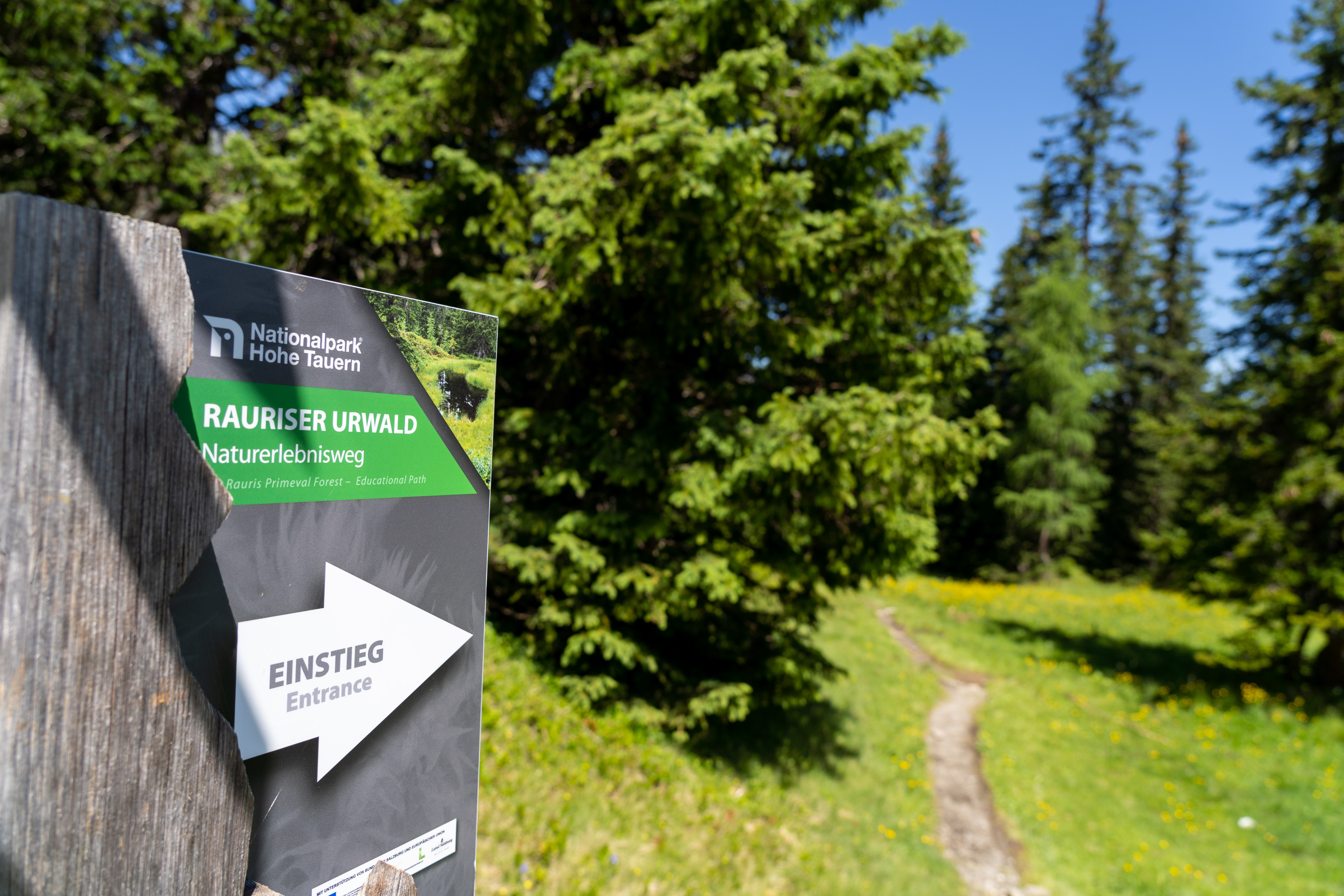 Ausflugsziel: Rangerwanderung