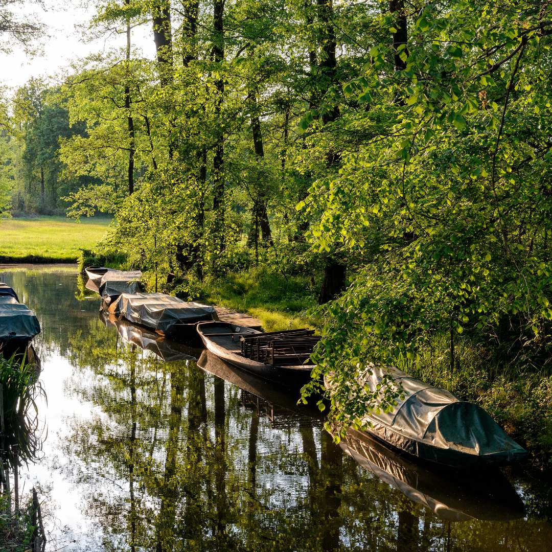 Ausflug mit Kindern - Alter der Kinder: 2 bis 4 Jahre - Spreewald - Spreewaldkahnfahrten Detlefs Bootshaus und Naturhafen Raddusch Kahn und Kremserfahrten