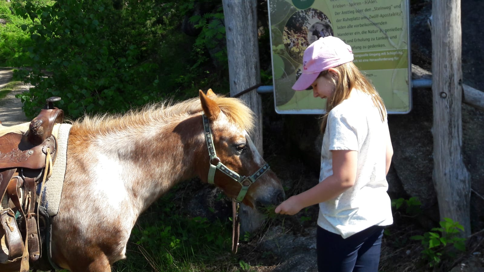Ausflugsziel: Georgs Kutscher Hof - Spaß für die ganze Familie