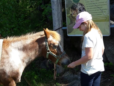 Ausflugsziel: Georgs Kutscher Hof - Spaß für die ganze Familie