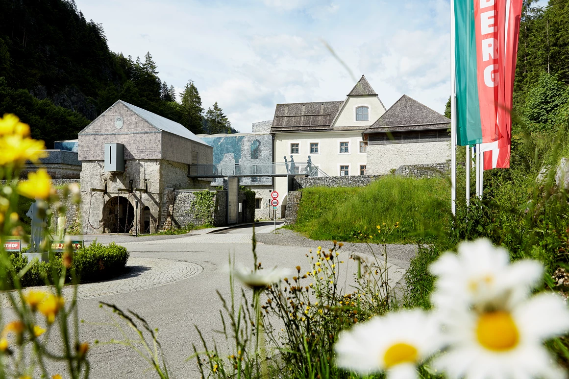 Ausflugsziel: Burgenwelt Ehrenberg