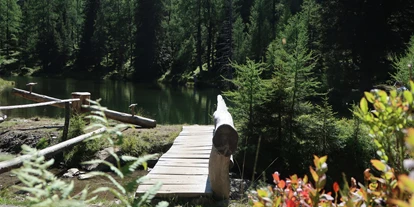 Trip with children - Sankt Michael im Lungau - die Brücke zum See - Stille Wasser Reiteralm