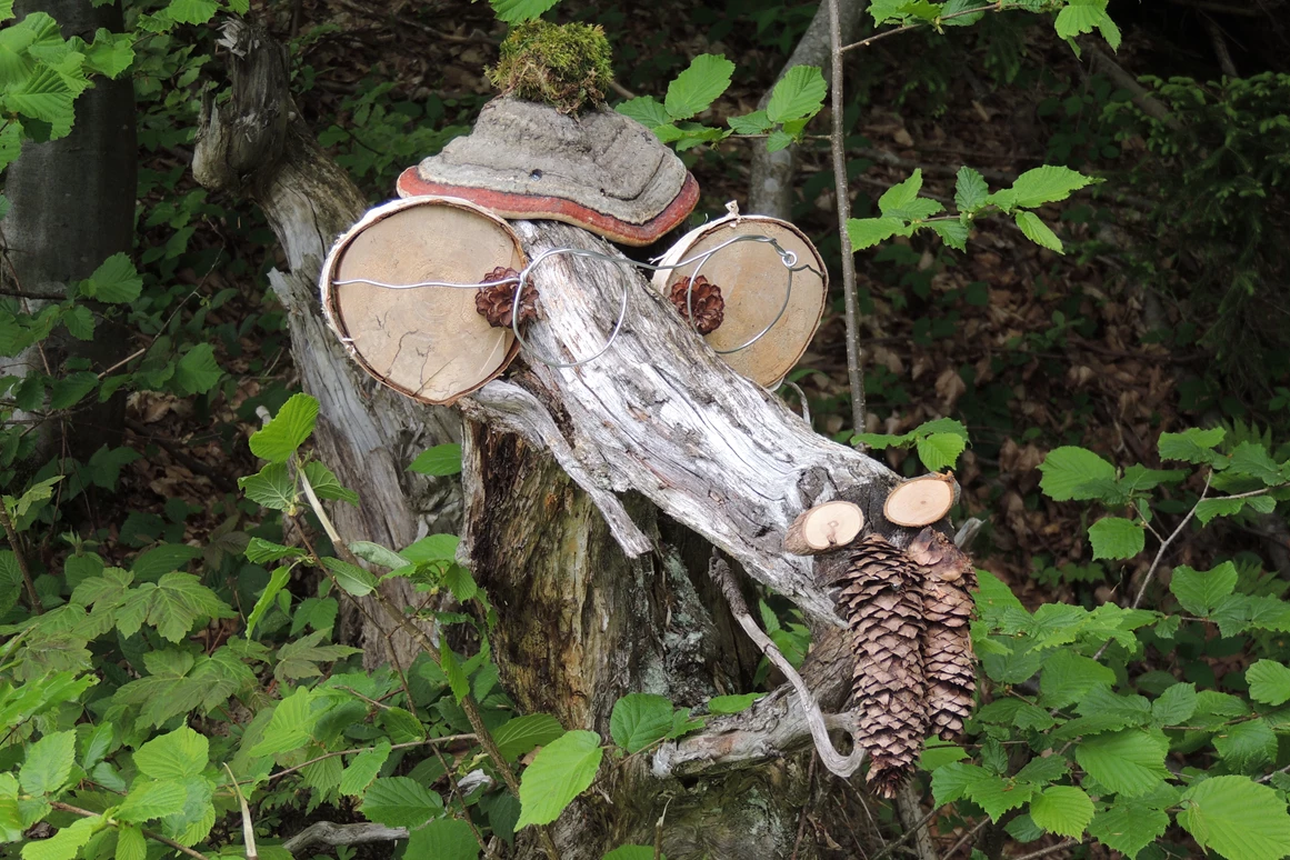 Ausflugsziel: Waldgeister im Geisterwald - Geisterwald Russbach | Dachstein West