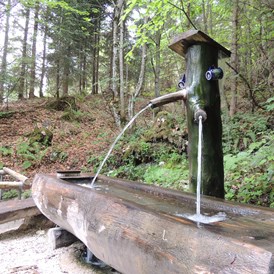 Ausflugsziel: Brunnen, Kinderwanderweg Geisterwald - Geisterwald Russbach | Dachstein West