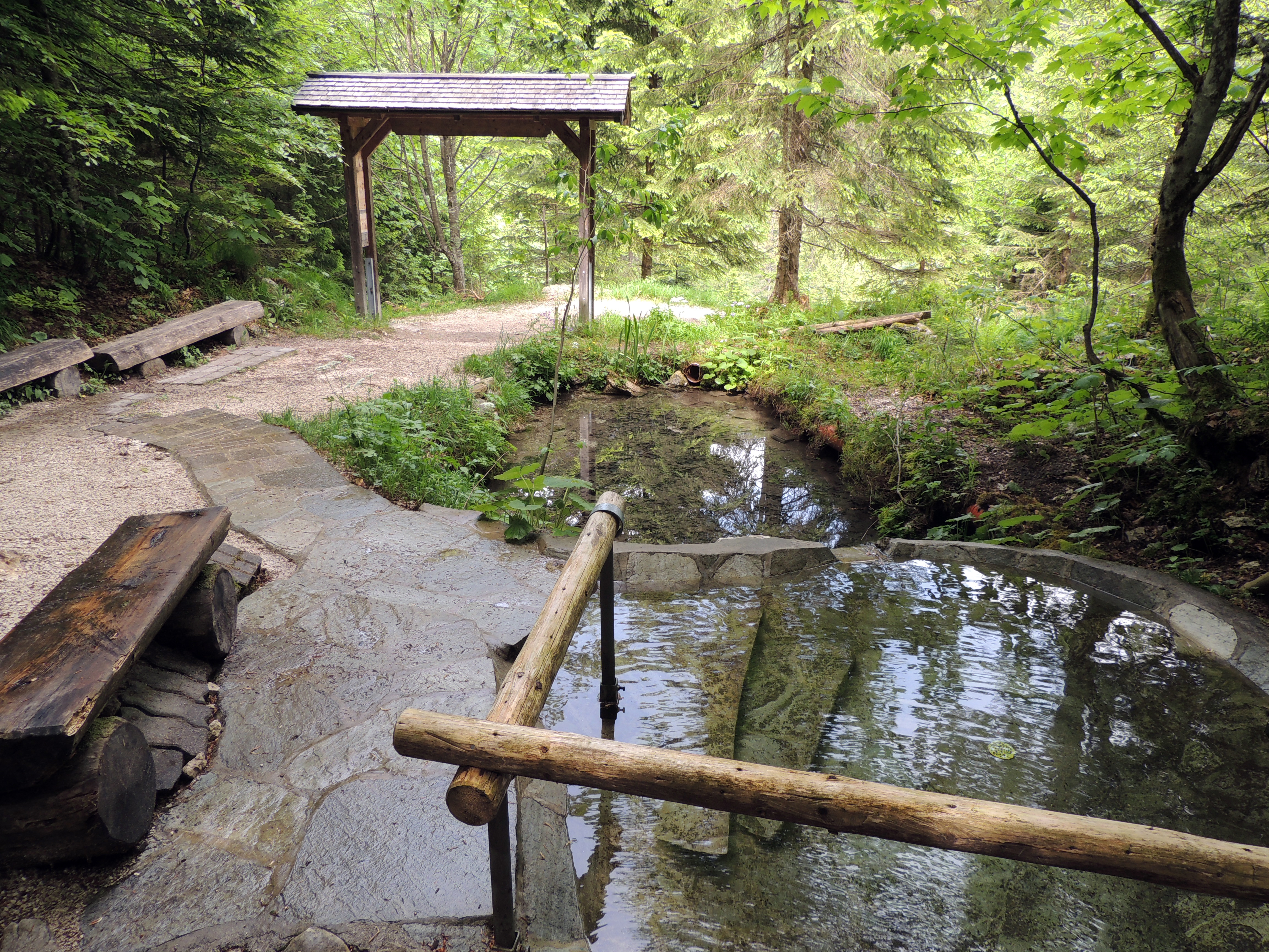Ausflugsziel: Kneipp Russbach | Dachstein West - Geisterwald Russbach | Dachstein West