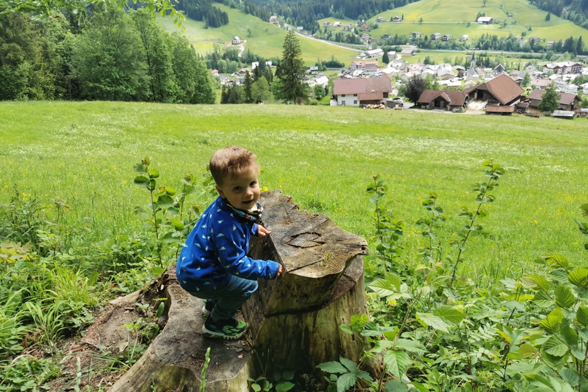 Ausflugsziel: Geisterwald Russbach | Dachstein West