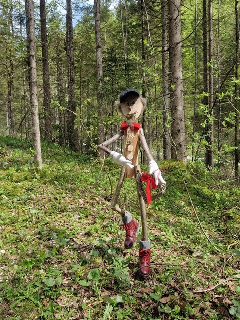 Ausflugsziel: Geisterwald Russbach | Dachstein West