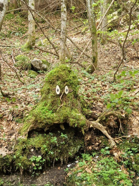 Ausflugsziel: Geisterwald Russbach | Dachstein West