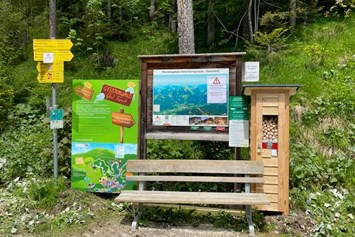 Ausflugsziel: Geisterwald Russbach | Dachstein West