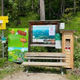 Ausflugsziel: Geisterwald Russbach | Dachstein West