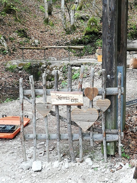 Ausflugsziel: Geisterwald Russbach | Dachstein West