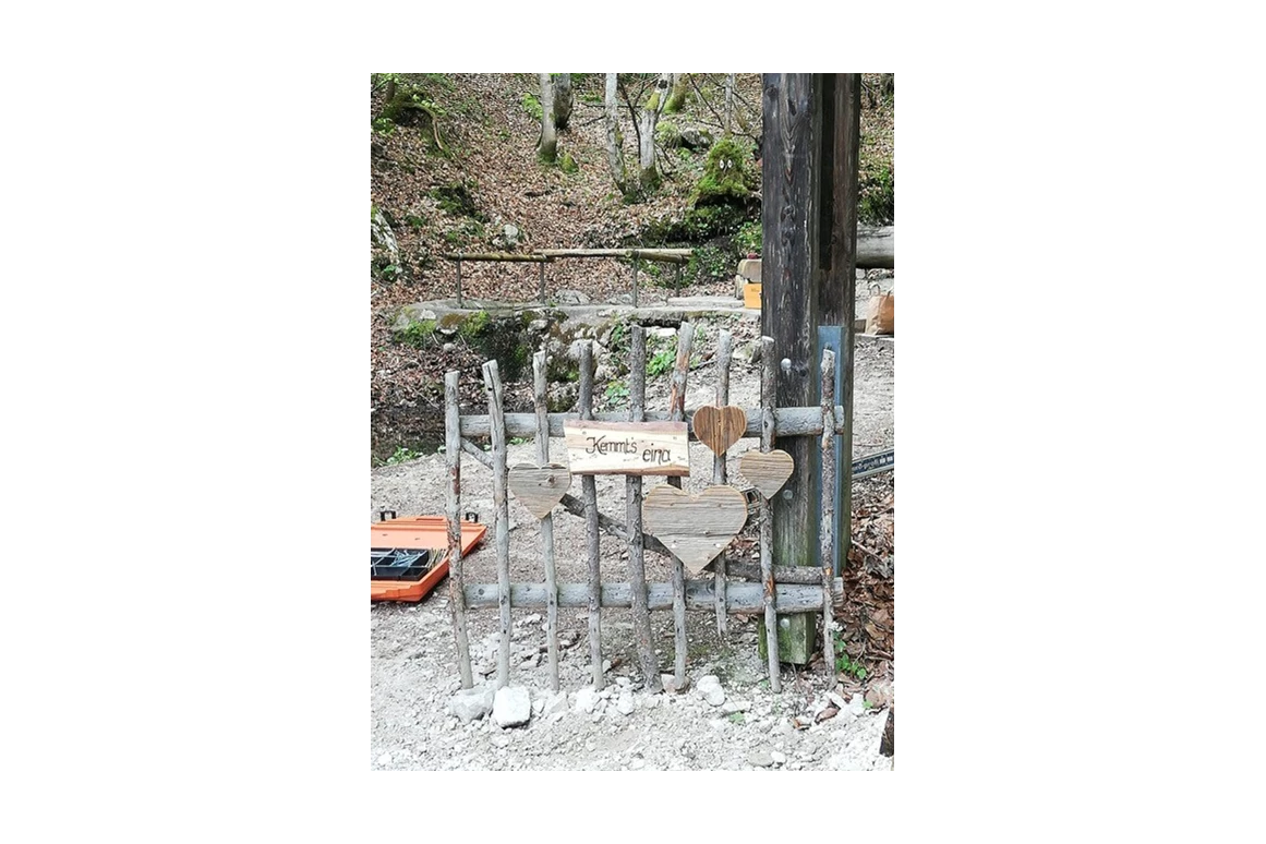 Ausflugsziel: Geisterwald Russbach | Dachstein West