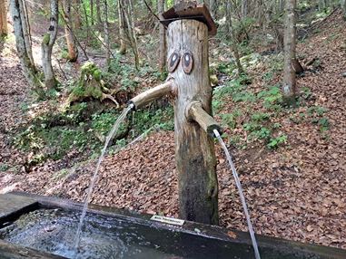 Ausflugsziel: Geisterwald Russbach | Dachstein West