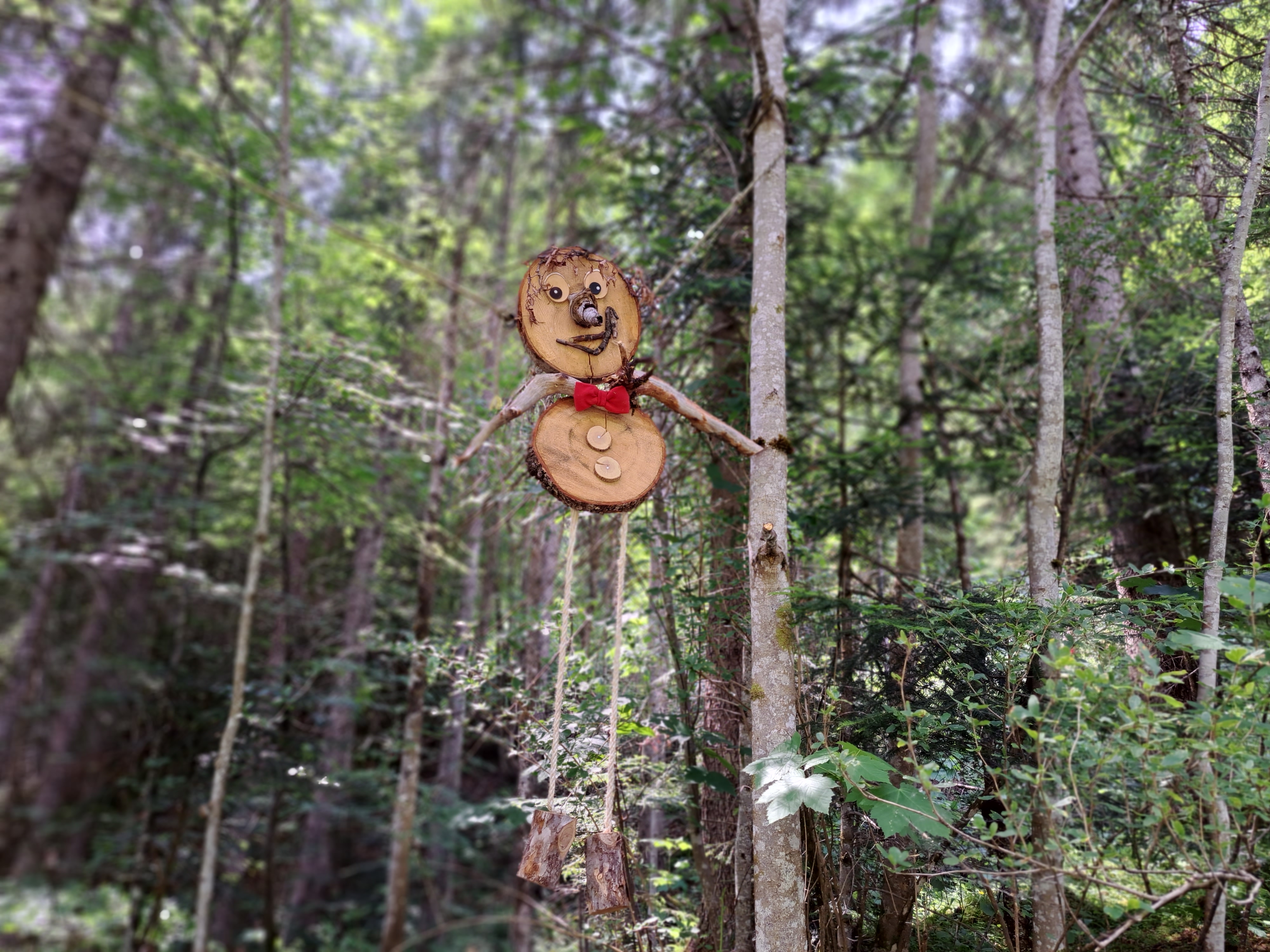 Ausflugsziel: Geisterwald Russbach | Dachstein West